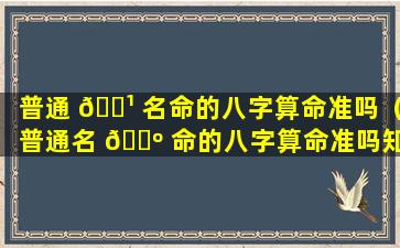 普通 🌹 名命的八字算命准吗（普通名 🐺 命的八字算命准吗知乎）